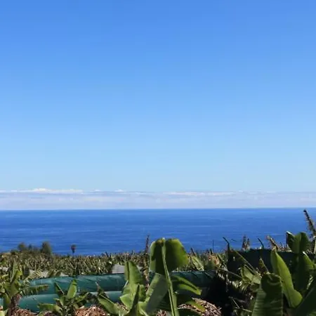Hébergement de vacances Casa Strelizia - Puerto de la Cruz (Tenerife)