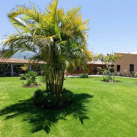 Holiday home Casa Strelizia -